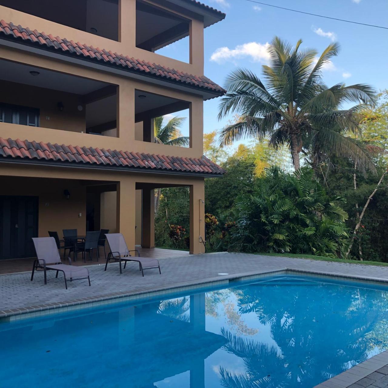Las Palmas Inn Rincón Extérieur photo